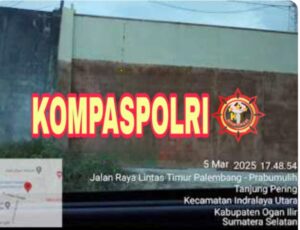 IMG_20250310_033549-768x590